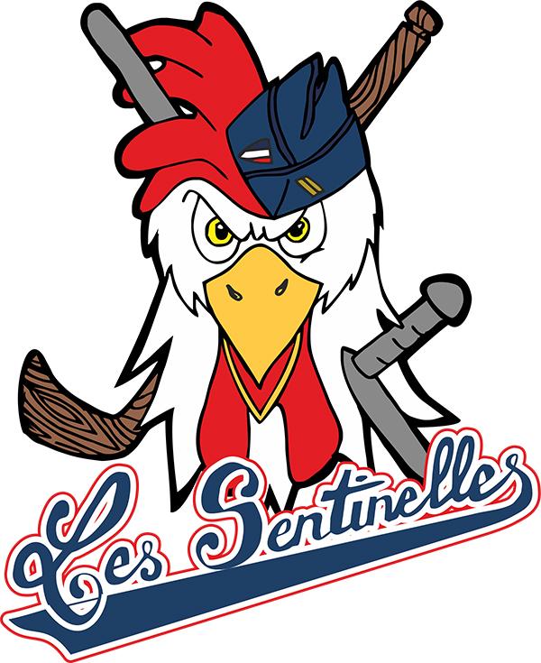 Photo hockey Les Sentinelles au garde à vous ! - Hockey Loisir