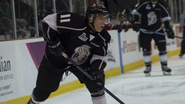 Photo hockey LHJMQ : Abramov, sacré débutant  - LHJMQ - Ligue de Hockey Junior Majeur du Québec ARCHIVES