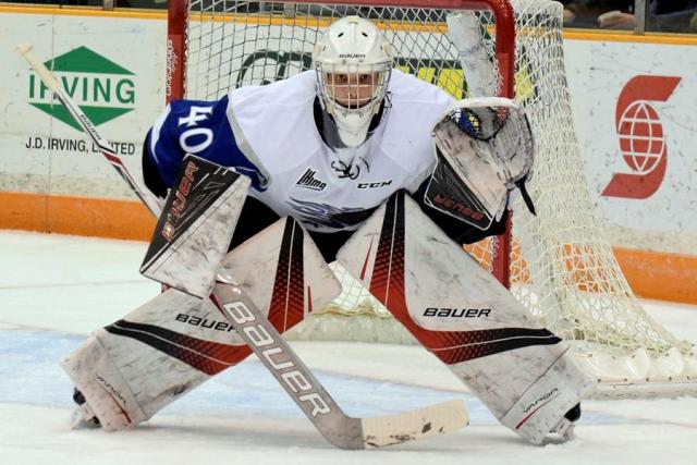 Photo hockey LHJMQ - … et de 8 pour les SeaDogs ! - LHJMQ - Ligue de Hockey Junior Majeur du Québec