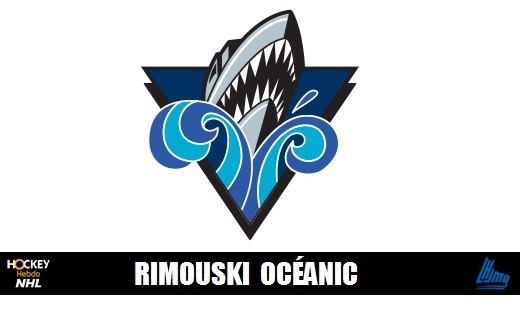 Photo hockey LHJMQ : l