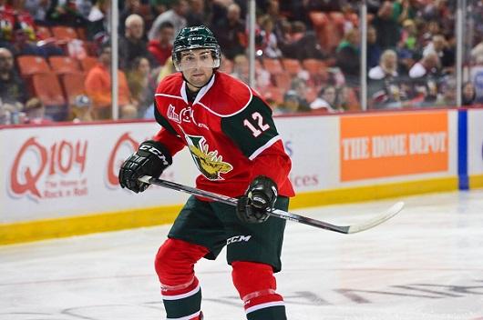 Photo hockey LHJMQ : La division Maritimes à l