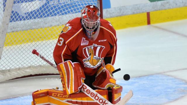 Photo hockey LHJMQ : Le Drakkar flotte de nouveau - LHJMQ - Ligue de Hockey Junior Majeur du Québec ARCHIVES