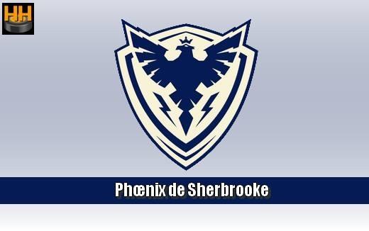 Photo hockey LHJMQ - Le Titan cède face au Phoenix - Ligue Magnus