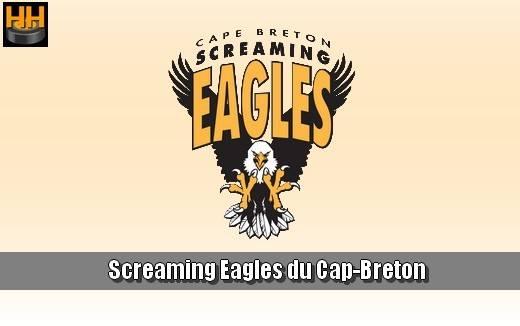 Photo hockey LHJMQ - Les Sea Dogs gagnent leur premier match à domicile - LHJMQ - Ligue de Hockey Junior Majeur du Québec