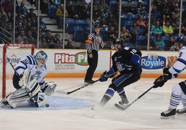 Photo hockey LHJMQ : Les SeaDogs battent les Sags - LHJMQ - Ligue de Hockey Junior Majeur du Québec ARCHIVES