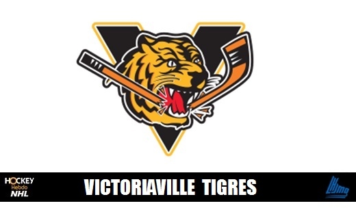 Photo hockey LHJMQ - Les Tigres avaient faim ! - LHJMQ - Ligue de Hockey Junior Majeur du Québec