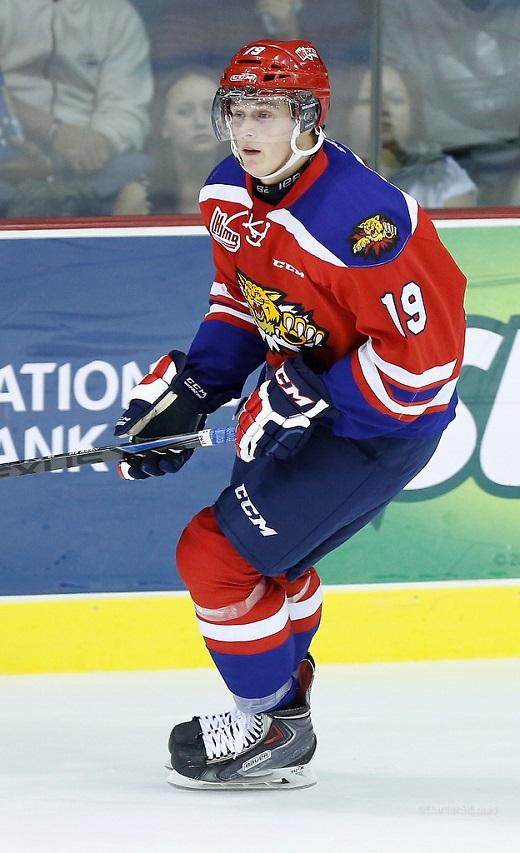 Photo hockey LHJMQ : Les Wildcats en 1/2 - LHJMQ - Ligue de Hockey Junior Majeur du Québec