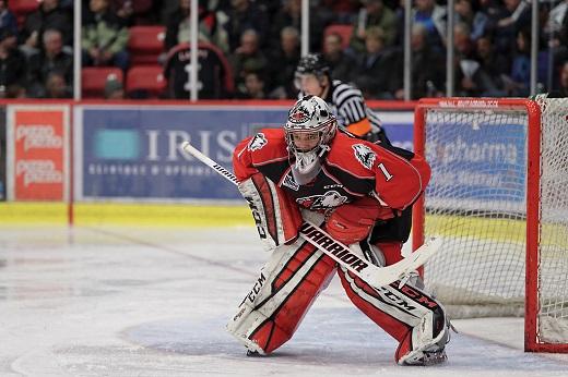 Photo hockey LHJMQ : Rouyn-Noranda dans la douleur - LHJMQ - Ligue de Hockey Junior Majeur du Québec