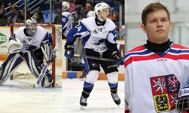 Photo hockey LHJMQ - Trois Sea Dogs aux camps des recrues NHL - LHJMQ - Ligue de Hockey Junior Majeur du Québec ARCHIVES