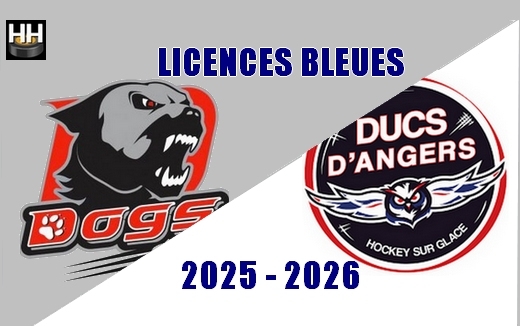 Photo hockey Licences bleues CHOLET / ANGERS AHCA et LM - Ligue Magnus : Angers  (Les Ducs)