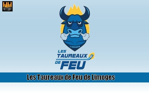 Photo hockey Limoges recrute une Entraîneur Mineur - Hockey Mineur : Limoges (Les Taureaux de Feu)