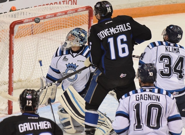 Photo hockey LJHMQ: Des débuts en fanfare - LHJMQ - Ligue de Hockey Junior Majeur du Québec