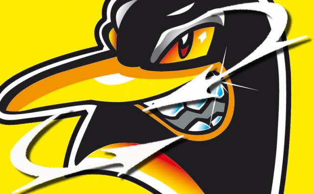 Photo hockey LM : Deux défenseurs chez les Pingouins - Ligue Magnus : Morzine-Avoriaz (Les Pingouins)