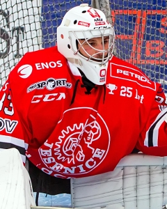 Photo hockey LM : nouveau gardien à Epinal - Ligue Magnus : Epinal  (Les Wildcats)