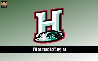 Photo hockey LM : Un défenseur à Anglet -  : Anglet (Hormadi)