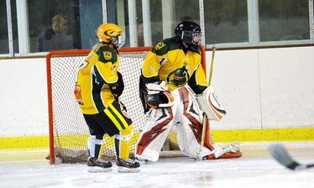 Photo hockey Loisirs : Asnières se maintient - Hockey Mineur