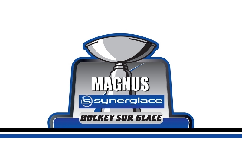 Photo hockey Magnus - 2 rencontres reportées - Ligue Magnus