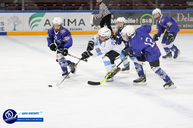 Photo hockey Marseille Amateur - Résultats du week-end - Hockey Mineur