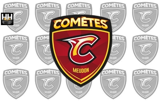 Photo hockey MEUDON - Le programme de préparation - Division 1 : Meudon (Les Comètes)