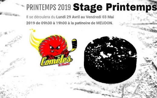 Photo hockey Meudon - Stage U7 U9 U11 U13 - Hockey Mineur : Meudon (Les Comètes)