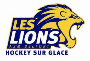 Photo hockey Mineur : Belfort, résultats du week-end. - Hockey Mineur : Belfort  (Les Lions)
