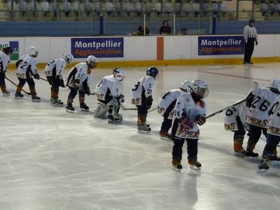Photo hockey Mineur : Résultats Montpelliérains - Hockey Mineur : Montpellier  (Les Vipers)