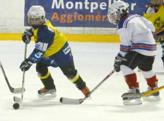 Photo hockey Mineur Montpellier : Résultats et Programme  - Hockey Mineur : Montpellier  (Les Vipers)