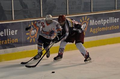 Photo hockey Montpellier : Résultats du week-end.  - Hockey Mineur : Montpellier  (Les Vipers)