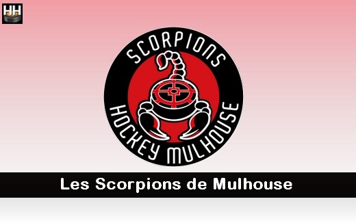 Photo hockey Mouvements à Mulhouse - Division 2 : Mulhouse (Les Scorpions)