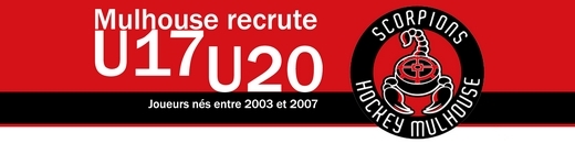 Photo hockey Mulhouse recrute U17 / U20 -  journée d’essai - Hockey Mineur