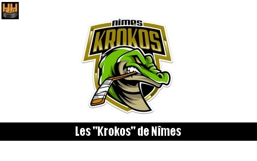 Photo hockey Nîmes recrute 1 attaquant français u20,d2,d1 - Division 3 : Nimes (Les Krokos)