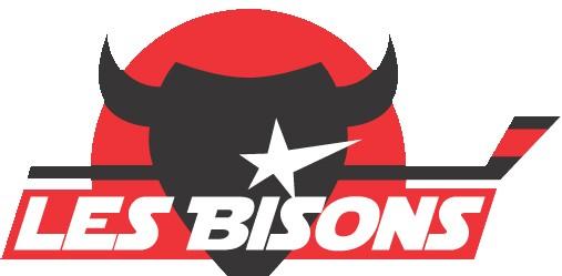 Photo hockey Neuilly : Arrivée d