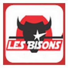 Photo hockey Neuilly / Marne : Communiqué - Division 1 : Neuilly/Marne (Les Bisons)