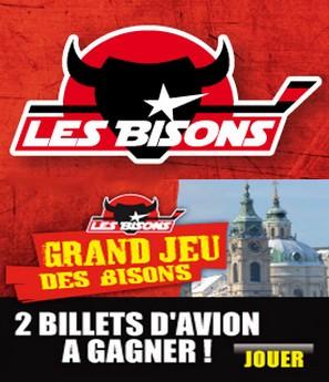 Photo hockey Neuilly : Résultats du grand jeu. - Division 1 : Neuilly/Marne (Les Bisons)