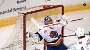 Photo hockey NHL : Di Pietro a rejoué - NHL : National Hockey League - AHL