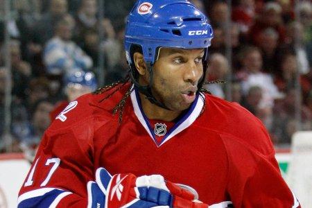 Photo hockey NHL: Laraque remercié - NHL : National Hockey League - AHL