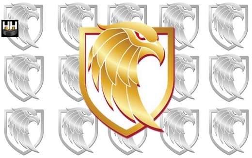 Photo hockey Nice - Communiqué Officiel - Ligue Magnus : Nice (Les Aigles)