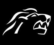 Photo hockey NLA: Mir sind geiler Züri - Suisse - Divers : Zürich (ZSC Lions)