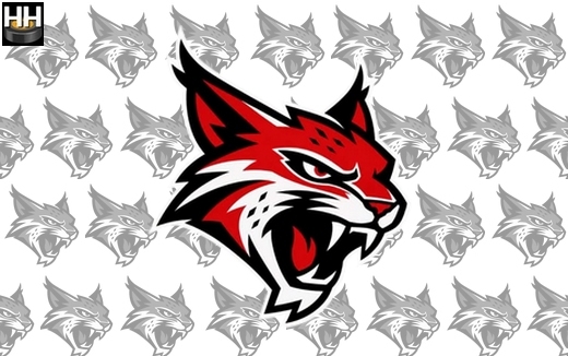 Photo hockey Nouveau LOGO pour Valence - Division 1 : Valence (Les Lynx)