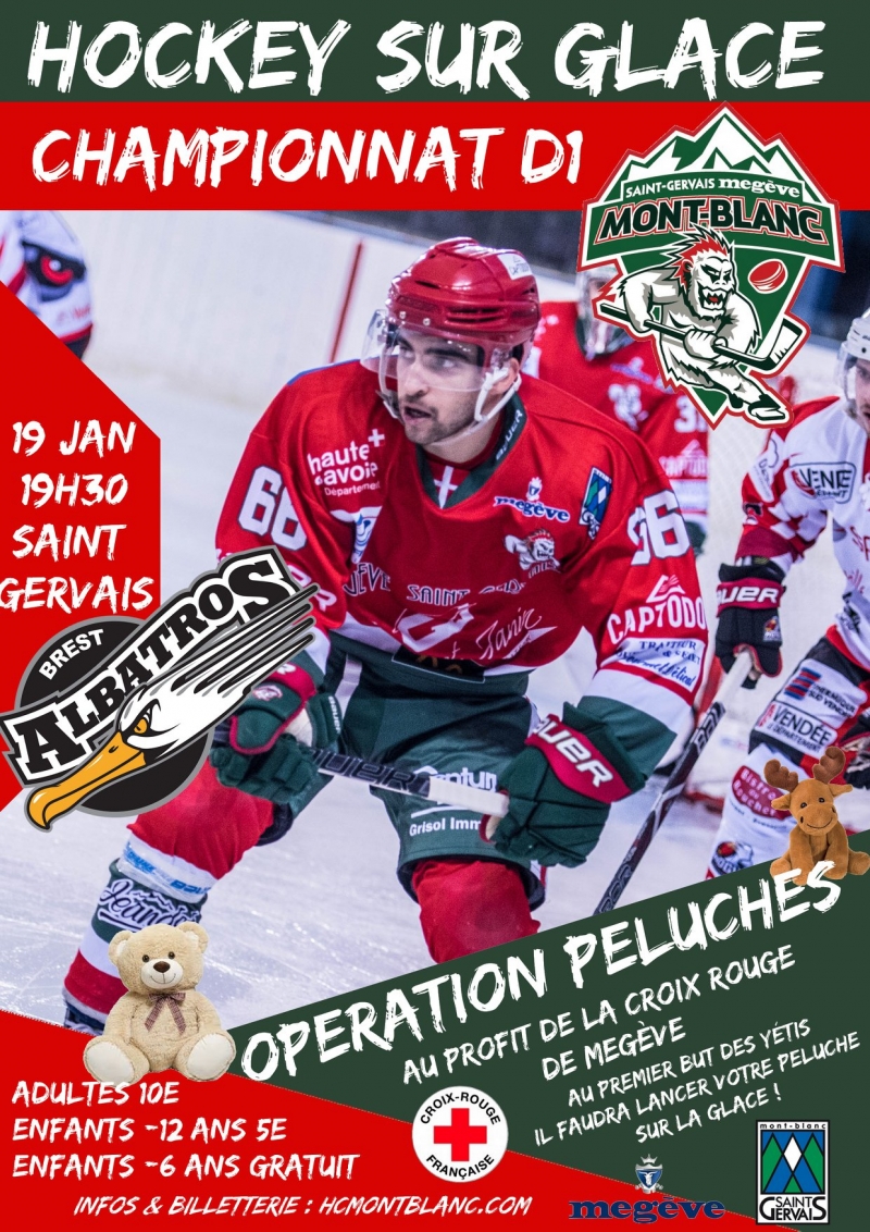 Photo hockey Opération Peluches pour les Yétis - Division 1 : Mont-Blanc (Les Yetis)