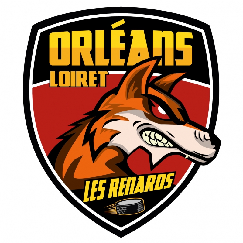 Photo hockey Orléans recrute en D3 et U20 - Division 3 : Orléans (Les Renards)
