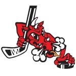 Photo hockey Recrutement à Poitiers - Division 3 : Poitiers (Les Dragons)