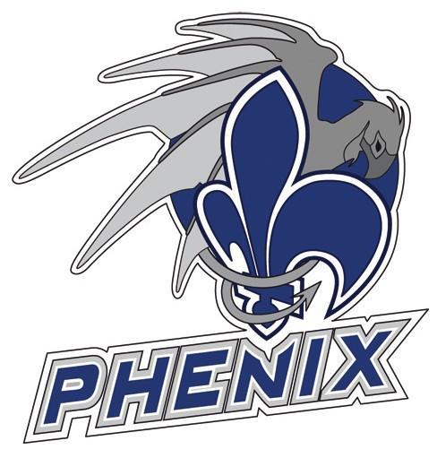 Photo hockey Reims recherche un attaquant U22 - Hockey Mineur : Reims (Les Phénix)