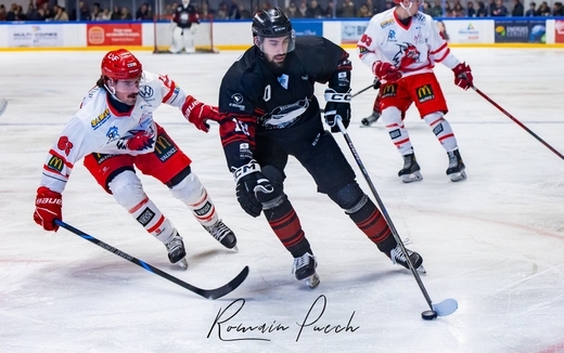 Photo hockey Reportage Photos - Toulouse vs Valence ! - Division 2