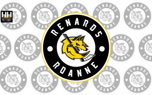 Photo hockey ROANNE - Le programme de préparation - Division 2 : Roanne (Les Renards)