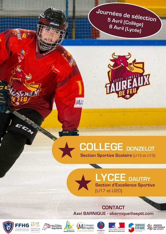 Photo hockey Sections Sportives à Limoges - Hockey Mineur : Limoges (Les Taureaux de Feu)