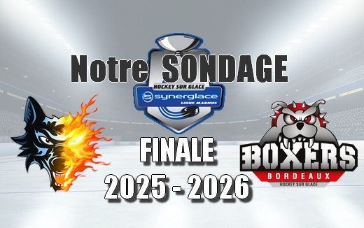 Photo hockey SONDAGE MAGNUS - DESIGNER VOTRE FAVORI ! - Ligue Magnus