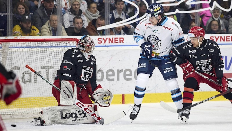 Photo hockey TELH : C