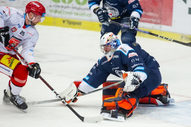 Photo hockey TELH : Les tigres blancs dans le bon wagon - TELH - Tipsport Extraliga Ledního Hokeje