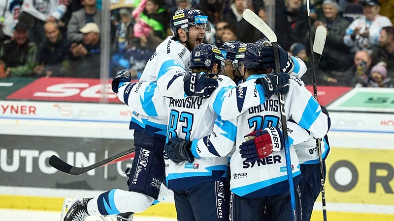 Photo hockey TELH : Les tigres dauphins - TELH - Tipsport Extraliga Ledního Hokeje